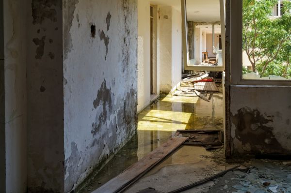 Cost of Water Removal Service in Crystal Lake