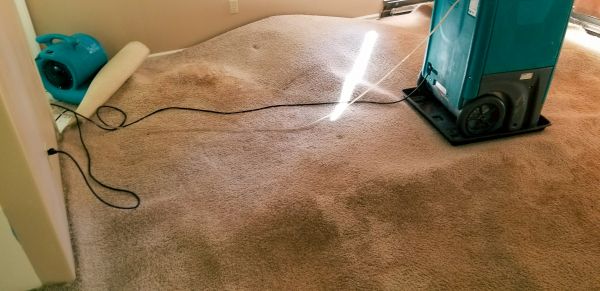 Carpet Water Extraction in Crystal Lake
